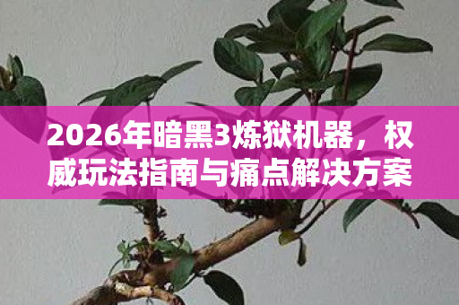2026年暗黑3炼狱机器,权威玩法指南与痛点解决方案大揭秘 2026年暗黑3炼狱机器,权威玩法指南与痛点解决方案大揭秘
