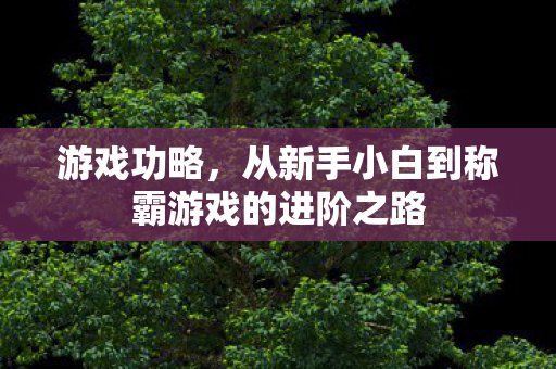 游戏功略,从新手小白到称霸游戏的进阶之路 游戏功略,从新手小白到称霸游戏的进阶之路