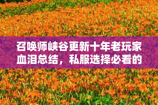 召唤师峡谷更新十年老玩家血泪总结,私服选择必看的3个关键标准 召唤师峡谷更新十年老玩家血泪总结,私服选择必看的3个关键标准