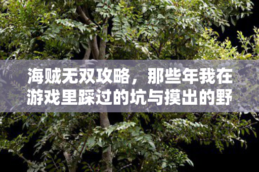 海贼无双攻略,那些年我在游戏里踩过的坑与摸出的野路子 海贼无双攻略,那些年我在游戏里踩过的坑与摸出的野路子