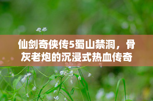 仙剑奇侠传5蜀山禁洞,骨灰老炮的沉浸式热血传奇 仙剑奇侠传5蜀山禁洞,骨灰老炮的沉浸式热血传奇