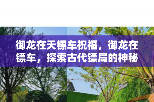 御龙在天镖车祝福,御龙在镖车,探索古代镖局的神秘之旅 御龙在天镖车祝福,御龙在镖车,探索古代镖局的神秘之旅