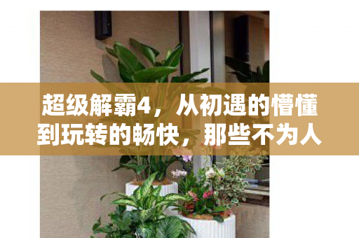超级解霸4,从初遇的懵懂到玩转的畅快,那些不为人知的精彩历程 超级解霸4,从初遇的懵懂到玩转的畅快,那些不为人知的精彩历程