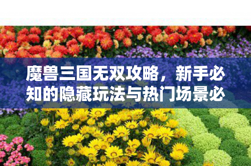 魔兽三国无双攻略,新手必知的隐藏玩法与热门场景必坑指南 魔兽三国无双攻略,新手必知的隐藏玩法与热门场景必坑指南