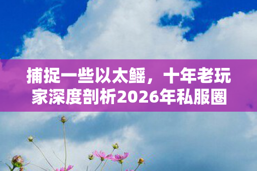 捕捉一些以太鳐,十年老玩家深度剖析2026年私服圈玩法与痛点 捕捉一些以太鳐,十年老玩家深度剖析2026年私服圈玩法与痛点