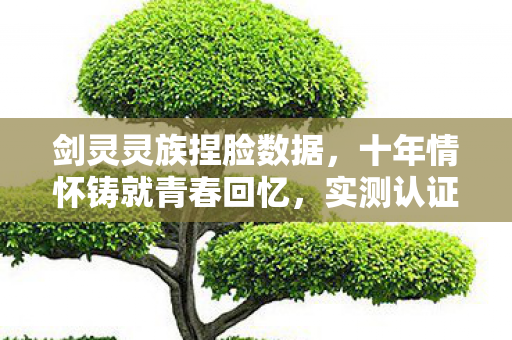 剑灵灵族捏脸数据,十年情怀铸就青春回忆,实测认证的珍贵指南!你还不来看看? 剑灵灵族捏脸数据,十年情怀铸就青春回忆,实测认证的珍贵指南!你还不来看看?