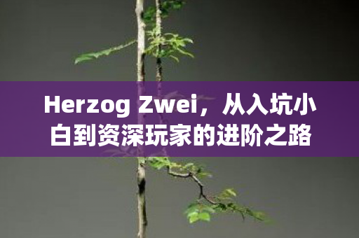 Herzog Zwei,从入坑小白到资深玩家的进阶之路 Herzog Zwei,从入坑小白到资深玩家的进阶之路