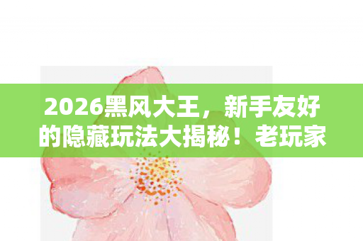 2026黑风大王,新手友好的隐藏玩法大揭秘!老玩家带你畅玩黑风世界 2026黑风大王,新手友好的隐藏玩法大揭秘!老玩家带你畅玩黑风世界