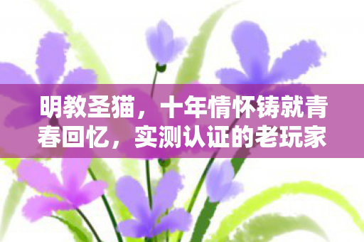 明教圣猫,十年情怀铸就青春回忆,实测认证的老玩家终极避坑指南! 明教圣猫,十年情怀铸就青春回忆,实测认证的老玩家终极避坑指南!