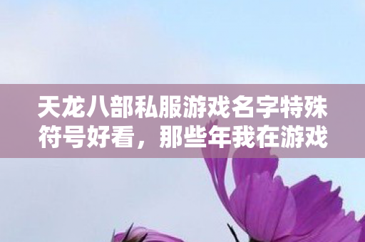 天龙八部私服游戏名字特殊符号好看,那些年我在游戏里踩过的坑与摸出的野路子 天龙八部私服游戏名字特殊符号好看,那些年我在游戏里踩过的坑与摸出的野路子