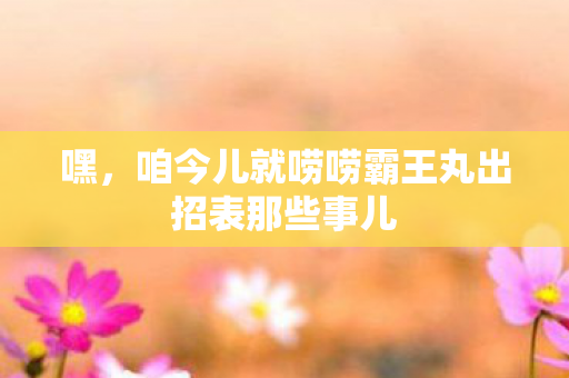 嘿,咱今儿就唠唠霸王丸出招表那些事儿 嘿,咱今儿就唠唠霸王丸出招表那些事儿