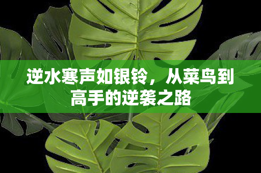 逆水寒声如银铃,从菜鸟到高手的逆袭之路 逆水寒声如银铃,从菜鸟到高手的逆袭之路
