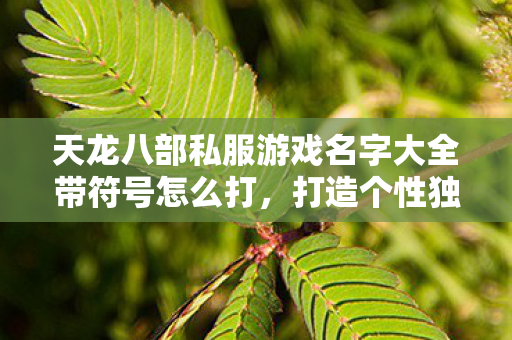 天龙八部私服游戏名字大全带符号怎么打图片