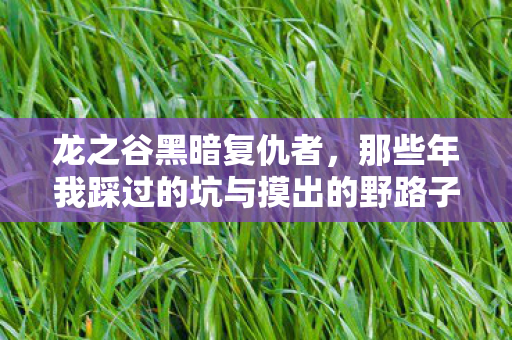 龙之谷黑暗复仇者,那些年我踩过的坑与摸出的野路子 龙之谷黑暗复仇者,那些年我踩过的坑与摸出的野路子