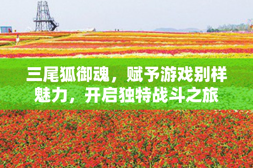 三尾狐御魂,赋予游戏别样魅力,开启独特战斗之旅 三尾狐御魂,赋予游戏别样魅力,开启独特战斗之旅