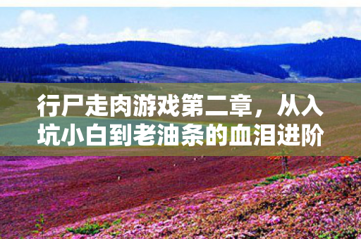 行尸走肉游戏第二章,从入坑小白到老油条的血泪进阶史 行尸走肉游戏第二章,从入坑小白到老油条的血泪进阶史