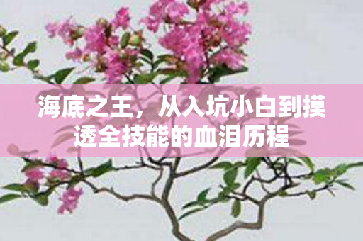 海底之王,从入坑小白到摸透全技能的血泪历程 海底之王,从入坑小白到摸透全技能的血泪历程