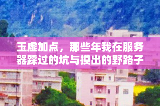 玉虚加点,那些年我在服务器踩过的坑与摸出的野路子 玉虚加点,那些年我在服务器踩过的坑与摸出的野路子