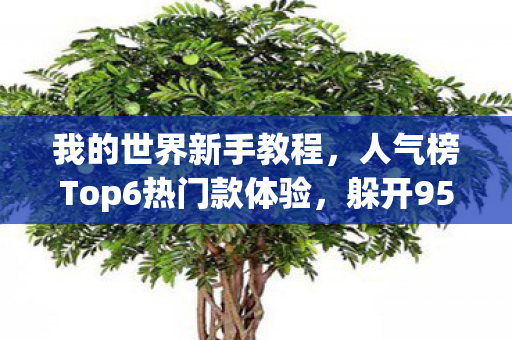 我的世界新手教程,人气榜Top6热门款体验,躲开95%入门陷阱 我的世界新手教程,人气榜Top6热门款体验,躲开95%入门陷阱