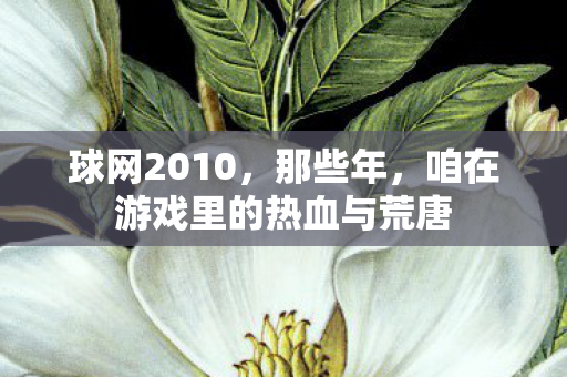 球网2010,那些年,咱在游戏里的热血与荒唐 球网2010,那些年,咱在游戏里的热血与荒唐