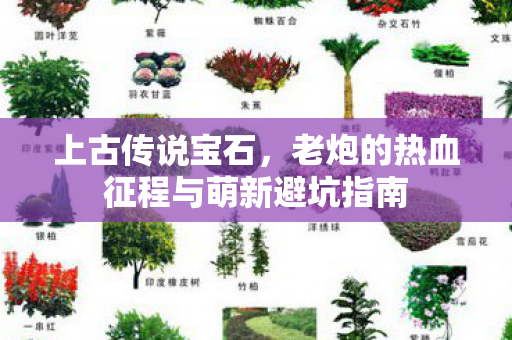 上古传说宝石,老炮的热血征程与萌新避坑指南 上古传说宝石,老炮的热血征程与萌新避坑指南