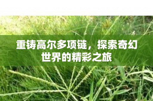 重铸高尔多项链,探索奇幻世界的精彩之旅 重铸高尔多项链,探索奇幻世界的精彩之旅