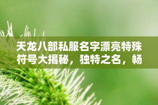 天龙八部私服名字漂亮特殊符号大揭秘图片