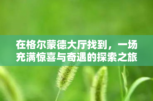 在格尔蒙德大厅找到,一场充满惊喜与奇遇的探索之旅 在格尔蒙德大厅找到,一场充满惊喜与奇遇的探索之旅