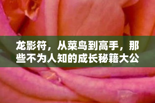 龙影符,从菜鸟到高手,那些不为人知的成长秘籍大公开! 龙影符,从菜鸟到高手,那些不为人知的成长秘籍大公开!