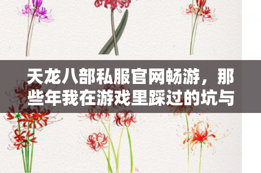 那些年我在游戏里踩过的坑与摸出的野路子图片