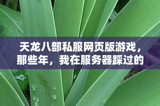 我在服务器踩过的坑与摸出的野路子图片