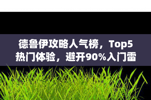 德鲁伊攻略人气榜图片