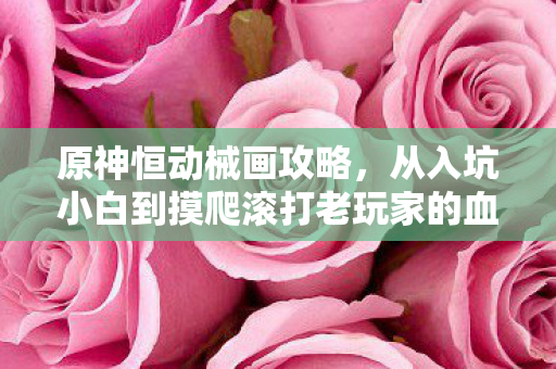 从入坑小白到摸爬滚打老玩家的血泪经验图片