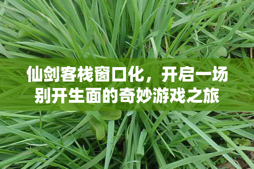 仙剑客栈窗口化,开启一场别开生面的奇妙游戏之旅 仙剑客栈窗口化,开启一场别开生面的奇妙游戏之旅