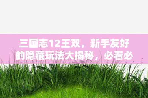 新手友好的隐藏玩法大揭秘图片