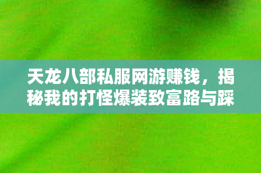 揭秘我的打怪爆装致富路与踩坑实录图片