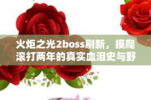 摸爬滚打两年的真实血泪史与野路子分享图片