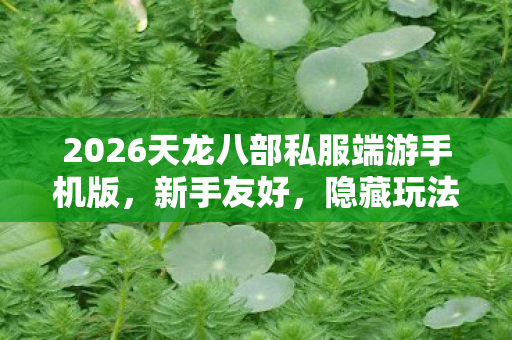 2026天龙八部私服端游手机版图片