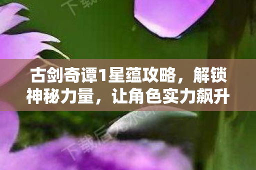 让角色实力飙升的秘诀大公开图片