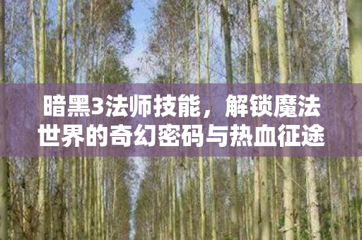 暗黑3法师技能,解锁魔法世界的奇幻密码与热血征途 暗黑3法师技能,解锁魔法世界的奇幻密码与热血征途