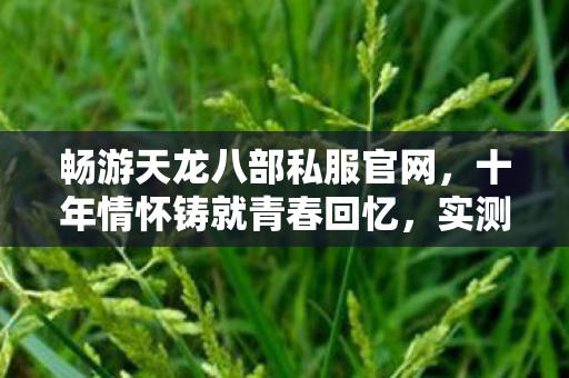 畅游天龙八部私服官网,十年情怀铸就青春回忆,实测认证的独家避坑指南! 畅游天龙八部私服官网,十年情怀铸就青春回忆,实测认证的独家避坑指南!