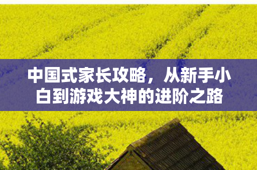 中国式家长攻略,从新手小白到游戏大神的进阶之路 中国式家长攻略,从新手小白到游戏大神的进阶之路