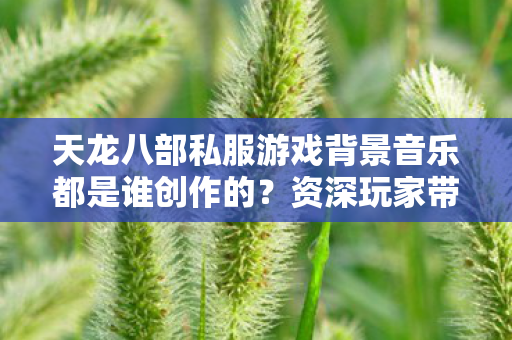 天龙八部私服游戏背景音乐都是谁创作的图片