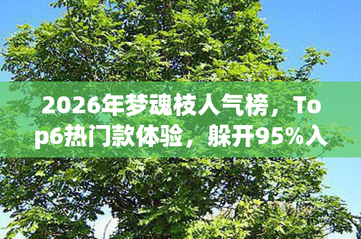 2026年梦魂枝人气榜,Top6热门款体验,躲开95%入门陷阱 2026年梦魂枝人气榜,Top6热门款体验,躲开95%入门陷阱