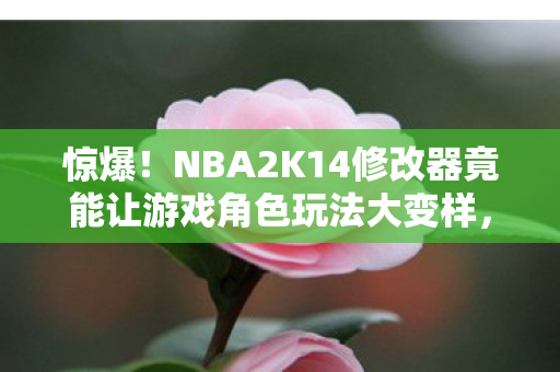 惊爆!NBA2K14修改器竟能让游戏角色玩法大变样,版本适配超绝! 惊爆!NBA2K14修改器竟能让游戏角色玩法大变样,版本适配超绝!
