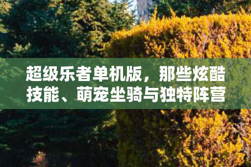 超级乐者单机版,那些炫酷技能、萌宠坐骑与独特阵营带来的别样体验 超级乐者单机版,那些炫酷技能、萌宠坐骑与独特阵营带来的别样体验