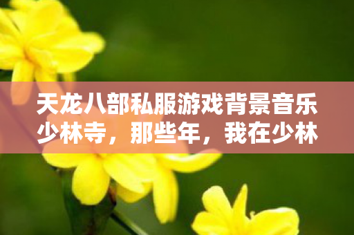 天龙八部私服游戏背景音乐少林寺图片