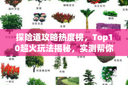 探险道攻略热度榜,Top10超火玩法揭秘,实测帮你避开95%新手大坑!你敢来挑战吗? 探险道攻略热度榜,Top10超火玩法揭秘,实测帮你避开95%新手大坑!你敢来挑战吗?