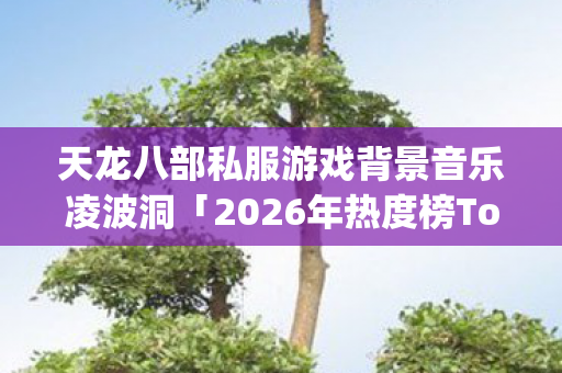 天龙八部私服游戏背景音乐凌波洞「2026年热度榜Top5高人气服实测,避坑秘籍大公开!」 天龙八部私服游戏背景音乐凌波洞「2026年热度榜Top5高人气服实测,避坑秘籍大公开!」