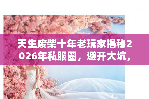 天生废柴十年老玩家揭秘2026年私服圈,避开大坑,畅享游戏新体验 天生废柴十年老玩家揭秘2026年私服圈,避开大坑,畅享游戏新体验